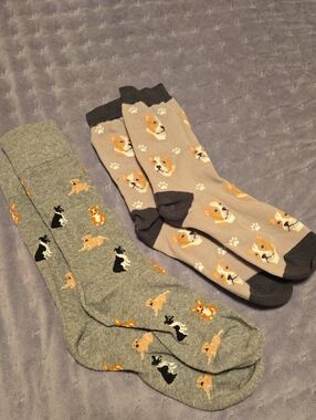 Dog Pattern Crew Socks